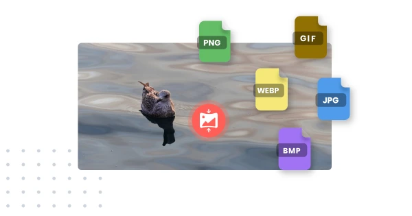 Compress Images for Various Formats