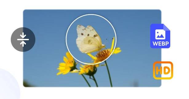 High-Quality WebP Compressor