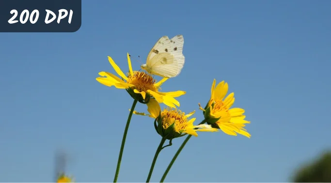convert photo to 200 dpi
