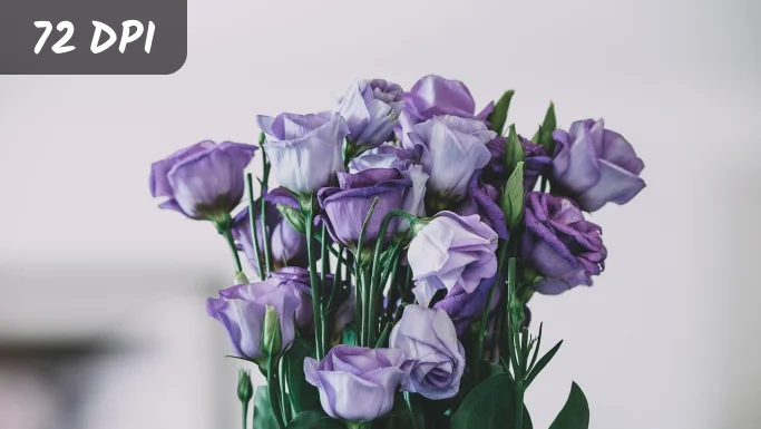 convert photo to 72 dpi