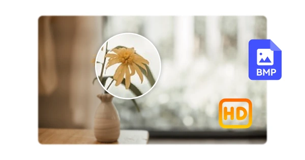 Convert BMP to JPG Without Losing Quality