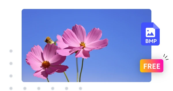Convert BMP to JPG Online for Free