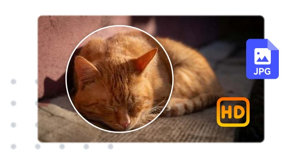 High-Quality JPG Conversions