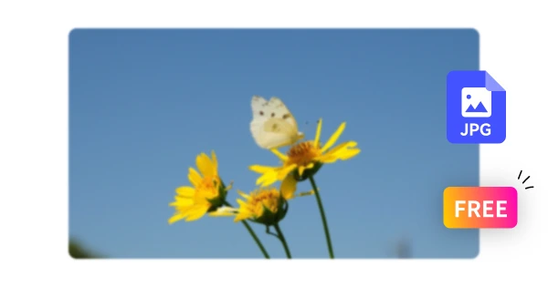 Convert JPG to PNG Online for Free