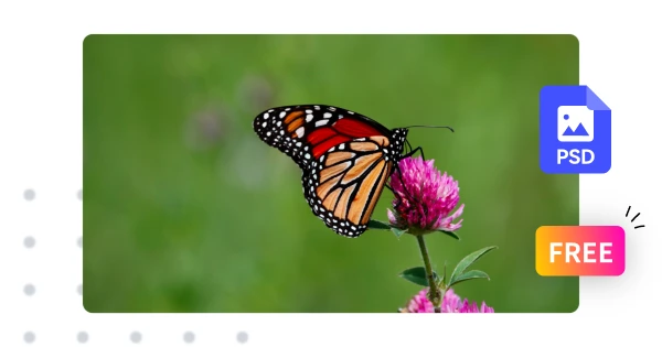 Convert PSD to JPG Online for Free