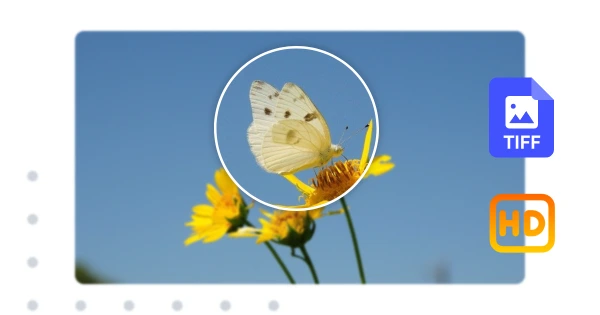 Convert TIFF to JPG Without Losing Quality