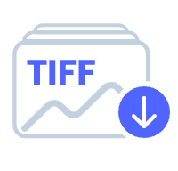 TIFF Download Image Icon